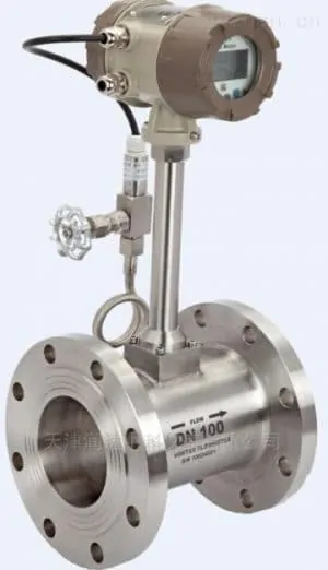 Steam flow meter Vortex Flow Meters