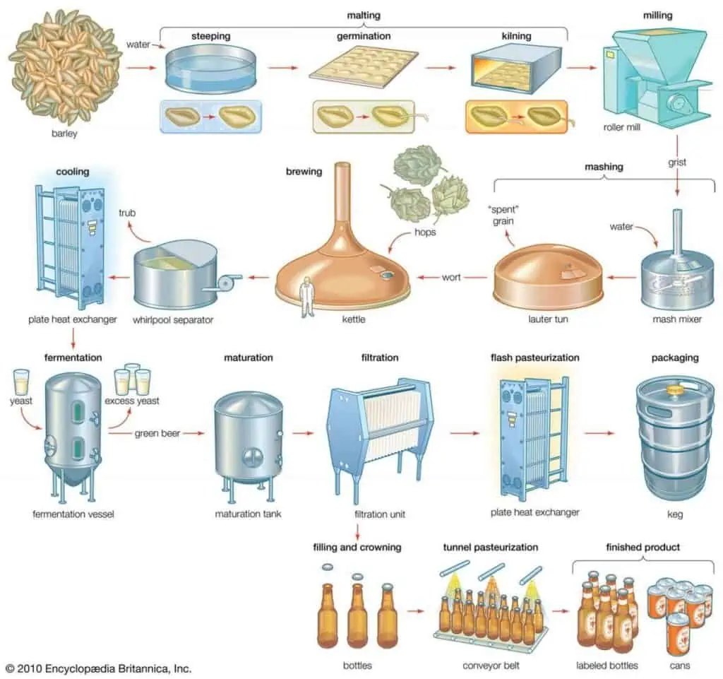 Beer Production Process